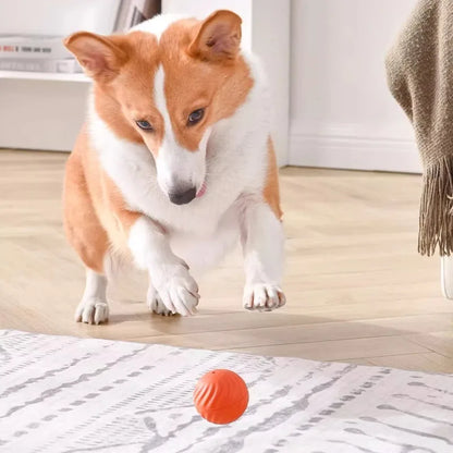Automatic Pet Toy Ball