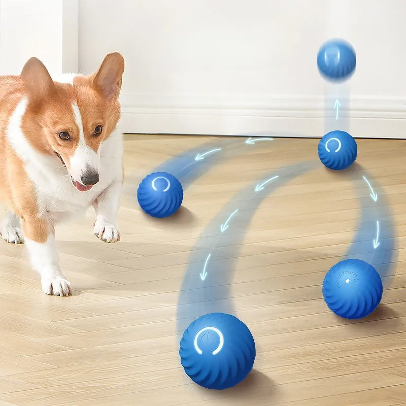 Automatic Pet Toy Ball