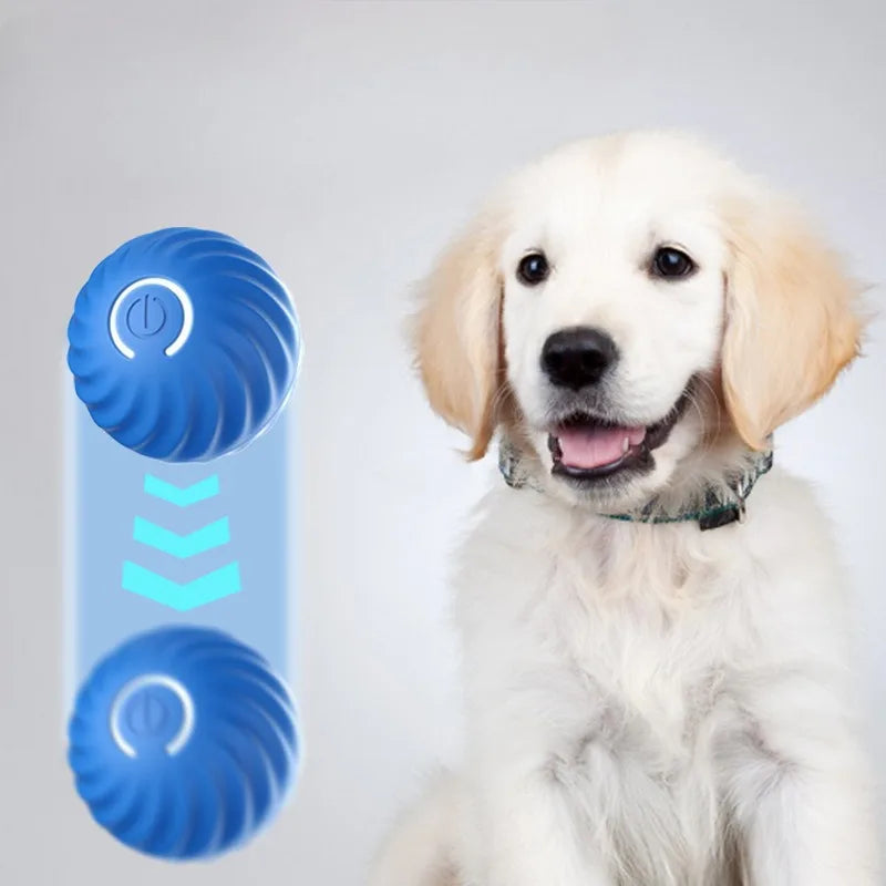 Automatic Pet Toy Ball