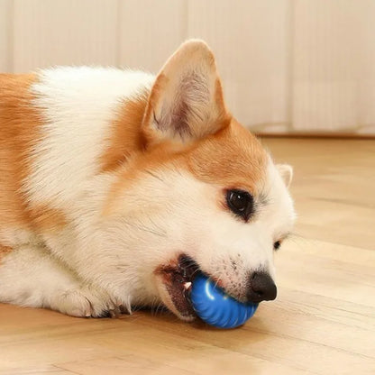 SmartJump Pet Ball